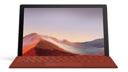 平罗清洁和维护 Surface